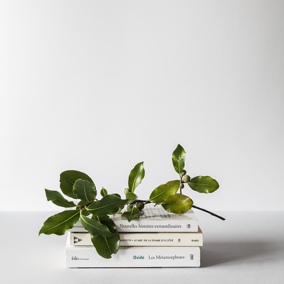 Contact - Contact us. French literature and lush plants on display, reminiscent of the rich cultural tapestry students explore in French lessons at Bonjour Australia in Linden Park, Adelaide